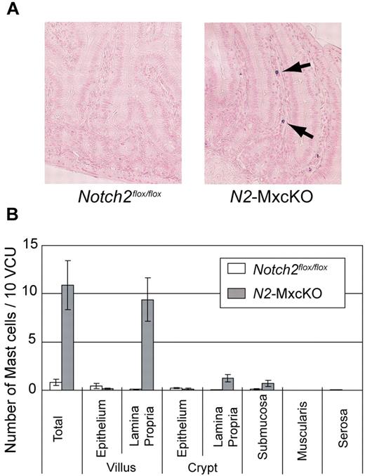 Figure 1. Mature mast cells were abnormally accumulated in the lamina propria of the small intestine of Notch2-deficient mice. (A) Sections of the small intestine of N2-MxcKO or littermate control Notch2flox/flox mice. Toluidine blue staining, followed by eosin. Original magnification ×200. (B) The numbers of mast cells per 10 villus crypt units (vcus) distributing to various layers of the small intestine. Data are presented as means ± SEM; Notch2flox/flox (n = 10) versus N2-MxcKO (n = 8); P = .000461 (total), P = .000261 (villus, lamina propria), P = .001918 (crypt, lamina propria), P = .046874 (submucosa).
