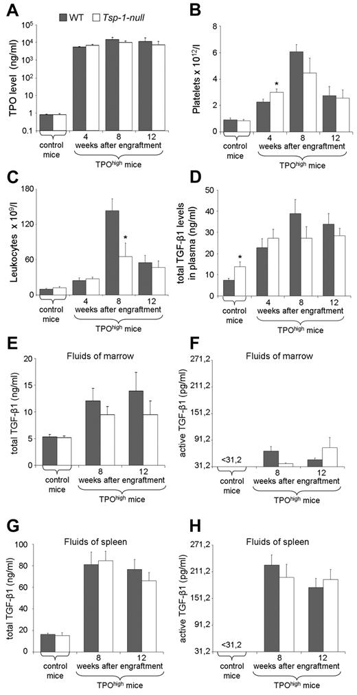 Figure 1. WT and Tsp-1–null mice display comparable TPO-induced myeloproliferative syndrome leading to similar TGF-β1 overproduction and activation. TPO level (A), platelet number (B), and leukocyte number (C) are shown in unmanipulated WT and Tsp-1–null control mice and in WT and Tsp-1–null TPOhigh mice during the 3 months of follow-up after engraftment. Results are the mean of 6 to 15 animals per experimental group. Results of statistical analysis with the Wilcoxon test are as follows: Tsp-1–null control mice versus WT control mice and Tsp-1–null TPOhigh mice versus WT TPOhigh mice: *P < .05. Total TGF-β1 (active + latent forms) levels were quantified in plasma (D) and extracellular fluids (E,G) using an enzyme-linked immunosorbent assay after acidification of samples. Active TGF-β1 levels in extracellular fluids (F,H) were determined without acidification. Total TGF-β1 plasma levels (D) are shown in WT and Tsp-1–null control mice and in WT and Tsp-1–null TPOhigh mice during the 3 months of follow-up after engraftment. No spontaneously active TGF-β1 was detected before acidification of the plasma samples. Total (E) and active TGF-β1 (F) levels in extracellular fluids of BM as well as total (G) and active TGF-β1 (H) levels in extracellular fluids of spleen are shown in WT and Tsp-1–null control mice and in WT and Tsp-1–null TPOhigh mice at times of death (8 and 12 weeks after engraftment). Note that the media supplemented with 10% fetal calf serum used to prepare extracellular fluids of BM and spleen contains less than 1.5 ng/mL TGF-β1 and no active form. Results in plasma and in extracellular fluids are presented as the mean of 6 to 15 and of 5 animals per experimental group, respectively. Results of statistical analysis with the Wilcoxon test are as follows: WT control mice versus Tsp-1–null control mice and WT TPOhigh mice versus Tsp-1–null TPOhigh mice: *P < .05.