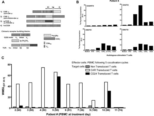 Figure 3. Specificity of anti–CAIX-CAR cellular immunity. (A) Schematic representation of receptor transgenes used to stimulate PBMCs. CAR and TCR constructs comprised one or several of the following domains: the hinge domains of IgG1, a short Cκ fragment, CD4 transmembrane region, Fc(ϵ)RIγ intracellular domain, complete CD3ζ molecule, as described.18,28 Constructs: (1) CAR: γ9; (2) CAR: ζ18 (including IgG1 hinge domain CH2CH3) comprising intracellular CD3ζ instead of Fc(ϵ)RIγ; (3) scTCR: γ28 comprising identical transmembrane and intracellular domains as original CAR (Construct 1); (4) irrelevant antigen human CD24 (huCD24). (B) PBMCs from patient 5 obtained at days 36, 50, and 86 of treatment were cocultured with irradiated autologous NTD cultured T cells (top left panel) or with CAIX-CAR T cells. PBMC cultures after 5 cycles of cocultivation were assayed for 3H-thymidin incorporation assay upon stimulation with irradiated autologous stimulator T cells, either NTD or transduced with transgenes described in panel A. 3H-Thymidin incorporation in responder PBMCs is expressed as stimulation indexes (SI) to relate values to the medium controls. (C) PBMC cultures after 5 cycles of cocultivation (patient 2-11) were assayed for CAR transgene- and nontransgene-related cellular immune reactivity in a cytotoxicity assay using 51Cr-labeled autologous CAR T cells as target cells (□), NTD T cells (), or T cells transduced with human CD24 (■) as negative control target cells. Percent specific cytolysis of target cells is expressed as WMSL[ET 20:1 (see also legend to Figure 2C). Representative experiments are shown.