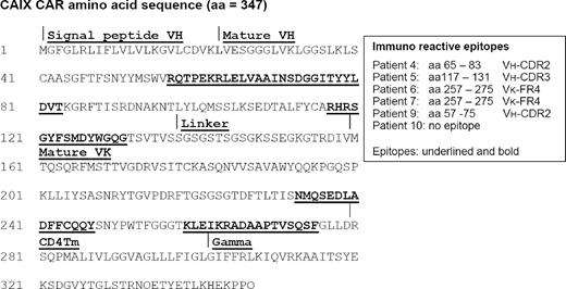 Figure 5. Amino acid sequence of the CAIX-CAR protein with identified immunoreactive epitopes. Amino acid sequence of the CAIX-CAR protein: aa 1-19, signal peptide G250 mAb VH; aa 20-137, mature VH; aa 138-159, linker; aa 160-278, mature VK; aa 279-301, CD4 transmembrane region (abbreviated CD4Tm); aa 302-347, intracellular Fc(ϵ)RI γ-chain (abbreviated γ). Identified immunoreactive epitopes are presented in bold (see also Table 3).