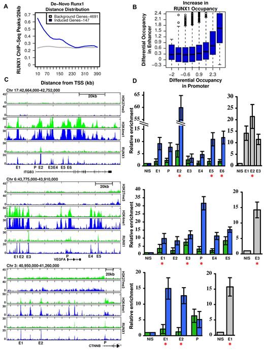 Figure 3. RUNX1-dependent transcriptional activation is linked to remote de novo RUNX1 occupancy sites. (A) Enrichment of de novo RUNX1 binding in proximity of activated genes. The density (peaks/20 kb, y-axis) of de novo RUNX1 bound sites is plotted relative to TSSs for 147 bona fide RUNX1-regulated genes after TPA induction (blue) and for genes not activated by TPA (gray). (B) De novo binding of RUNX1 at long-range enhancer regions significantly correlates with its de novo binding at gene promoters. Log of maximal difference in RUNX1 ChIP-seq coverage before and after TPA within 3 kb (promoter region) and 200 kb (enhancer region) around the TSS was computed. Boxplots represent the distribution of differential RUNX1 occupancy at enhancers (y-axis) for groups of promoters with similar differential RUNX1 occupancy (x-axis). The outliers represent values more than 90th percentile. (C) Remote constitutive and de novo RUNX1-occupied sites and H3K4me1/H3K27me3 profile at key TPA-responsive RUNX1-regulated megakaryocytic gene loci. RUNX1, H3K4me1, and H3K27me3 ChIP-seq readouts, before (green) and after (blue) TPA treatment, in several genomic loci encompassing megakaryocytic important genes that were activated after TPA in a RUNX1-dependent manner. (D) Quantitative evaluation of RUNX1 ChIP-seq results in K562 and K562-TPA cells and murine primary megakaryocytes. Quantitative PCR analysis of RUNX1 binding to regions spanning ITGB3, VEGFA, and CTNNB indicated in panel C. Data are mean ± SD of 2 independent ChIP-quantitative PCR experiments performed in quadruplicates using K562 cells (green), K562-TPA cells (blue), and murine primary megakaryocytes (gray). Red asterisks represent regions containing RUNX motifs. Primers used for quantitative PCR assays are listed in supplemental Table 2, and details are described in supplemental data.