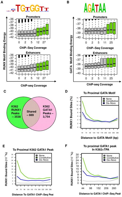 Figure 4. RUNX1 and GATA1 are over-represented at constitutive RUNX1-occupied regions. (A) RUNX motif-binding energy is correlated with RUNX1 ChIP-seq occupancy. Indicated RUNX motif was inferred directly from RUNX1 occupancy peaks (see supplemental Methods). Boxplots represent the distributions of motif-binding energies (y-axis) in groups of regions with increasing RUNX1 ChIP-seq coverage (x-axis). Only regions marked with H3K4me1 were considered. The regions that passed the threshold and were thus defined as RUNX1 bound peaks are shown in green boxplots. Data are plotted separately for promoters (< 3 kb from TSS, top panel) and enhancers (> 3 kb from TSS, bottom). (B) The GATA binding motif is correlated with RUNX1 ChIP-seq occupancy. A GATA motif was inferred directly from RUNX1 constitutively bound peaks. The correspondence between RUNX1 occupancy and GATA motif-binding energies is presented as in panel A (but using a GATA motif model instead of a RUNX motif model). Data reveal a correlation between RUNX1 ChIP-seq occupancy and the intensity of GATA motifs. Boxplots represent the distributions of motif-binding energies (y-axis) in groups of H3K4me1-marked regions with increasing RUNX1 ChIP-seq readout coverage (x-axis). (C) Venn diagram summarizing the overlap between RUNX1 and GATA1 bound sites in K562. (D-F) Co-occurrence analysis of RUNX1 and GATA1. Shown are distributions of distances from RUNX1 bound sites to the nearest GATA motif (D), to the nearest GATA1 ChIP-seq peak in K562 cells (E), and to the nearest GATA1 ChIP-seq peak in K562-TPA cells (F). Distance distributions were computed separately for constitutively occupied RUNX1 sites (light green), de novo occupied RUNX1 sites (blue), or RUNX1 motifs in H3K4me1-marked regions without significant RUNX1 occupancy (gray).