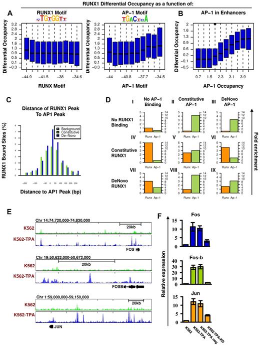 Figure 5. Co-occurrence of RUNX1 and AP-1 at de novo RUNX1 bound sites and RUNX1-mediated increase of AP-1 in response to TPA. (A) RUNX1 and AP1 motifs were inferred directly from de novo RUNX1 bound sites. Distributions of differential (after vs before TPA treatment) RUNX1 ChIP-seq readouts are plotted for groups of regions with increasing binding energy of RUNX (left) or AP-1 (right) motifs. Unlike RUNX motifs, AP-1 motifs are significantly correlated with differential (± TPA) RUNX1 occupancy. (B) Correlation between differential occupancy of RUNX1 and AP-1 occupancy. Shown are the distributions of increased RUNX-1 occupancy (y-axis; after vs before TPA treatment) in groups of loci with range of AP-1 occupancy level after TPA treatment (x-axis). AP-1 occupancy is a good predictor for TPA-induced RUNX1 recruitment. (C) Co-occurrence of AP-1 and RUNX1 ChIP-seq peaks at de novo RUNX1-occupied sites. Shown are the distributions of distances between RUNX1 peaks and most proximal AP-1 peaks at constitutively (light green) or de novo (+TPA blue) RUNX1 sites. For a reference, the distribution of distances for the nearest AP-1 sites from random H3K4me1 enhancers lacking RUNX1 binding is presented (gray). (D) Combinatorial analysis of RUNX1 and AP-1 sites and motifs. The relative fold enrichments of RUNX (orange) and AP-1 (green) motifs relative to the genomic background are shown for groups I to IX of loci with various combinatorial ChIP-seq readouts of the 2 factors. Constitutive sites are those observed in K562 cells both before and after TPA treatment. De novo sites are those observed only after TPA treatment. The pattern represented in groups VI and VIII suggest that RUNX1 occupancy enables AP-1 recruitment to regions lacking AP-1 motif; and vice versa, AP-1 binding enables recruitment of RUNX1 to sites lacking RUNX motifs. (E) TPA-dependent binding of RUNX1 to 3 AP-1 genes. RUNX1 ChIP-seq tracks at loci encompassing FOS, FOSB, and JUN before (light green) and after (blue) TPA, in K562 cells. De novo RUNX1 bound sites in remote enhancers are noted. (F) Quantitative RT-PCR analysis of FOS, FOS-B, and JUN expression in K562 cells. Data are mean ± SD of 3 independent experiments performed in triplicates. The increased expression of FOS, FOS-B, and JUN in K562-TPA relative to K562 and in K562-TPA with RUNX1 knockdown control (TPA neg) relative to K562 KD was significant (K562 ± TPA, P = .01, .005, and .005; and K562 ± KD, P = .01, .001, and .01).