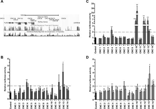 Figure 1. Screen of 14 CNCs using in vitro luciferase enhancer assay. (A) The University of California Santa Cruz Genome Browser representation of the fibrinogen cluster genomic region (NCBI36/hg18; Chr4: 155 661 000-155 891 000) is shown. The localization of the 14 selected CNCs as well as the fibrinogen genes (FGA, FGB, and FGG) and the nearby genes (PLRG1 and LRAT) present in the syntenic vicinity are schematically represented as well as the regulatory potential and the conservation feature. Luciferase assay was performed for 14 CNCs on 3 cell lines (B) HepG2, (C) Huh7, and (D) HEK-293T in both genomic orientations (+ and − strands). Luciferase activities normalized with a control plasmid (Control) are plotted. The gray dashed line represents a 2-fold threshold above which we consider that the tested sequence shows enhancer activity. Error bars show standard deviation; P values were calculated from experimental data versus values for control plasmid condition (*P < .05, **P < .01, ***P < .001, 2-sided t test, n = 3).