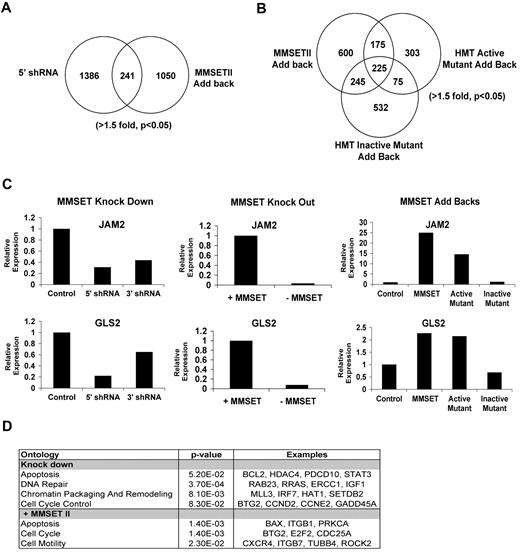 Figure 4. Identification of MMSET target genes by gene expression array. (A) Comparison of gene expression dataset from N-terminal knock down and MMSET II add back (t test paired; > 1.5-fold, P < .05). (B) Comparison of gene expression dataset from knockout cell line repleted with wild-type, active mutant, or dead mutant forms of MMSET (> 1.5-fold, P < .05). (C) Validation of MMSET target genes by real-time PCR. A representative experiment showing the regulation of JAM2 and GLS2 genes in the presence or absence of MMSET using the knockdown, knockout, and repletion systems. (D) Classification of MMSET target genes by Ontology analysis was performed using DAVID Ontology and Ingenuity Pathway Analysis. MMSET regulates genes mainly related with apoptosis, cell cycle, and DNA repair.