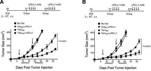 Figure 3. PD1 blockade increases the therapeutic efficacy of TriVax. WT mice (4/group) were inoculated subcutaneously with B16, and vaccinated with Trp2180TriVax (A) or Trp1455TriVax (B). Anti-PD-L1 mAb (10F.9G2) was administered intraperitoneally on days 2, 4, 6, and 8 after each TriVax administration at 200 μg/dose. Nonvaccinated mice (No Vax) and Ova55TriVax were included as controls. Arrows, days when TriVax administered; gray bars, time when anti–PD-L1 mAb was administered. Tumor sizes were determined in individual mice by measuring 2 opposing diameters and are presented as tumor areas in square millimeters. Points indicate means for each group of mice; and bars, SD. P values were calculated using 2-way ANOVA test comparing with the TriVax alone with TriVax plus anti–PD-L1 mAb. These experiments were repeated twice with similar results.