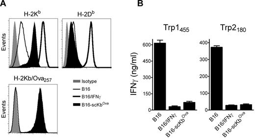 Figure 4. Expression levels of noncognate peptide/MHC-I complexes dictate the antigenicity of B16 cells. (A) Expression levels of MHC-I (H-2Kb and H-2Db, top panels) and H-2Kb/Ova257 complexes (bottom panel) on a stable B16 clone expressing single-chain H-2Kb/Ova257 (B16-scKbOva) compared with B16 and IFNγ-treated B16 (100 U/mL, 24 hours) cells measured by flow cytometry. Levels of H-2Kb/Ova257 complexes were measured using antibody 25-D1.16.53 (B) Antigenicity of B16-scKbOva was evaluated with freshly isolated CD8 T cells from Trp1455TriVax- and Trp2180TriVax-immunized WT mice using cytokine release ELISA. IFNγ-treated (100 U/mL, 24 hours) and nontreated parental B16 cells were included for comparison. Cultures consisted of 3 × 105 CD8 T cells coincubated with 1 × 105 stimulator cells for 40 hours before removing culture supernatants for cytokine measurements. Results represent the average values of IFNγ (columns) and SD (error bars) from triplicate wells. These experiments were repeated twice with similar results.