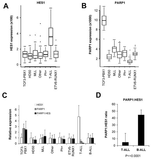 Figure 6. Differences in HES1 and PARP1 expression in B-ALL and T-ALL and the PARP1/HES1 ratio. Gene expression profiling was performed with U133A microarrays (Affymetrix) for 206 pediatric ALL patient samples (34 T-ALL, 172 B-ALL; see supplemental Figure 2). (A) Relative expression levels displayed with box-whisker quartile plots show higher levels of HES1 expression in T-ALL compared with multiple subgroups of B-ALL (P = 2.3 × 10−20, LIMMA; FDR = 1.4 × 10−18). (B) Expression data show that T-ALL samples express lowers levels of PARP1 than all B-ALL subgroups (P = 4.5 × 10−19, LIMMA; FDR = 2.3 × 10−17). Of note, the TCF3-PBX1 B-ALL subgroup expresses particularly high levels of PARP1 among B-ALL subgroups (P = 2.7 × 10−37, analysis of variance; FDR = 5.9 × 10−33). (C) Expression data were normalized to the combined B-ALL samples, and relative levels of HES1, PARP1, and a PARP1/HES1 ratio are shown. Note high HES1, low PARP1, and thus a low PARP1/HES1 ratio for T-ALL compared with B-ALL subgroups and combined B-ALL samples (P = 2.9 × 10−11, LIMMA). (D) Ratios of raw expression values for T-ALL and B-ALL samples (P < .0001). MLL indicates mixed-lineage leukemia; Ph+, Philadelphia chromosome (error bars represent ± 1 SD).