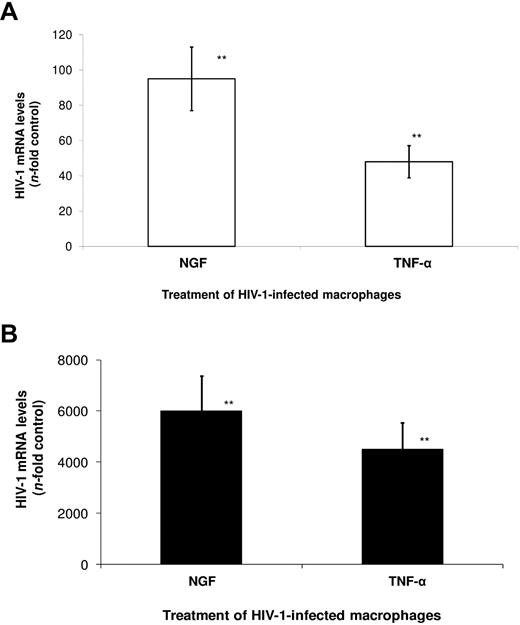 Figure 5. NGF enhances HIV-1 transcription in macrophages. Macrophages were infected by an R5-tropic HIV-1 isolate (Ba-L) and treated with NGF (10 ng/mL) or TNF-α (10 ng/mL) for 48 hours. Total RNA was then extracted using the QIAamp RNA kit, and qRT-PCR for the detection of MS (A) and FL (B) HIV-1 transcripts were performed as described previously.29 Data represent means ± SEM of 3 independent experiments. **P < .01.