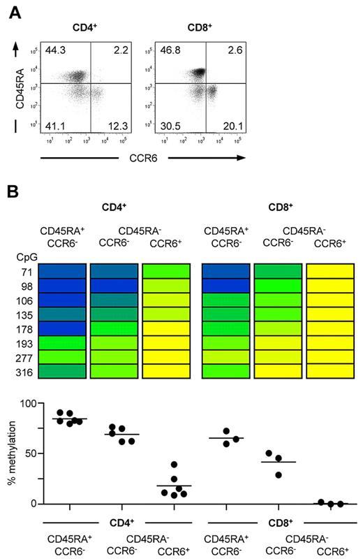 Figure 2. Demethylation of the CCR6 region correlates with CCR6 expression in human CD4+ and CD8+ T cells. (A) Representative FACS staining of CCR6 and CD45RA on CD4+CD25− and CD8+CD25− lymphocytes. (B) CD4+ and CD8+ cells were isolated from PBMCs and sorted into CCR6−CD45RA+ naive and CCR6− and CCR6+CD45RA− memory T cells resulting in subsets with a purity more than 95%. Methylation analyses of sorted subsets are shown for one representative donor. The degree of methylation is color-coded according to the scale in Figure 1B. Graphs below show the mean of methylation from all CpG sites from 5 to 6 donors for CD4+ T cells and 3 donors for CD8+ T cells, respectively.