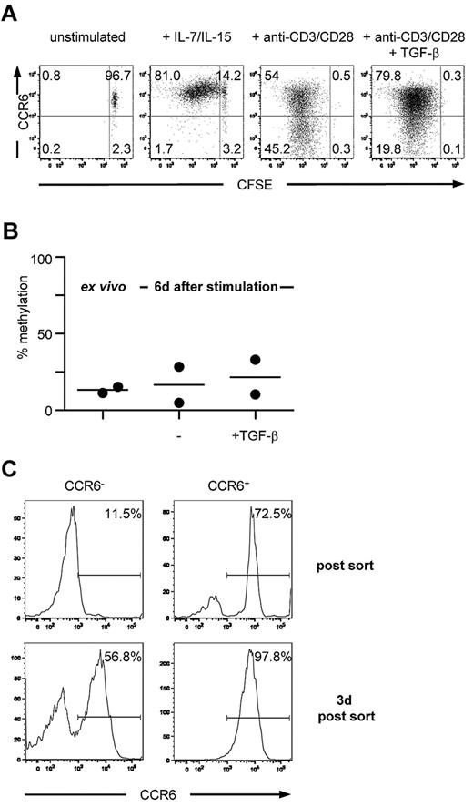Figure 3. Circulating CCR6+ T cells stably express CCR6 on in vitro expansion and maintain a demethylated DMR. (A) Carboxyfluorescein succinimidyl ester-labeled CCR6+CD4+ memory T cells were cultured for 6 days in medium containing recombinant human IL-7 and IL-15 or anti-CD3/anti-CD28 Dynabeads with or without TGF-β and reanalyzed for CCR6 expression. One representative donor of 4 is shown. (B) Ex vivo isolated CCR6+CD4+ memory T cells were stimulated with anti-CD3/anti-CD28 Dynabeads in the absence or presence of TGF-β. After 6 days, methylation analysis of the DMR was assessed. (C) Ex vivo isolated CCR6+CD4+ memory T cells were stimulated with anti-CD3/anti-CD28 Dynabeads, sorted on day 6 in CCR6− and CCR6+ cells, and cultured for an additional 3 days in medium containing IL-2. Data are representative for 2 donors.