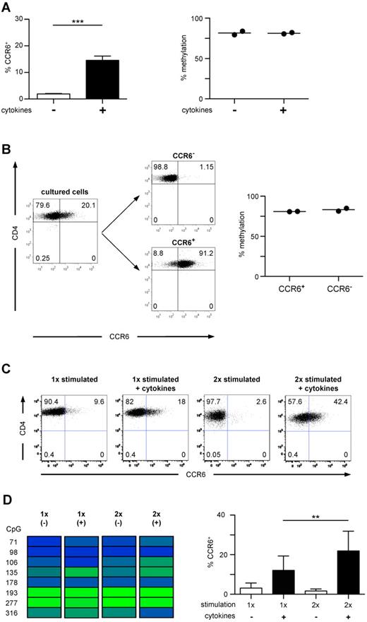 Figure 4. In vitro induced CCR6 expression is unstable and not associated with a demethylated DMR. (A) Naive CD4+ T cells were stimulated with anti-CD3/anti-CD28 Dynabeads without (white bar) or with proinflammatory cytokines and TGF-β (black bar) for 4 days, followed by culture in IL-2. After 6 to 7 days, cells were analyzed for CCR6 expression (n = 21, left graph). The methylation profile of CD4+ T cells cultured with (+) and without (−) cytokines is shown in the right graph (n = 2). ***P < .001. (B) Cells stimulated with cytokines as in panel A were sorted into CCR6+ and CCR6− cells (shown for 1 representative donor) and analyzed for methylation of the DMR. (C) Naive CD4+ T cells were stimulated and cultured as in panel A. At day 6, a fraction of the cultured cells were stimulated again under the same conditions. Cells were analyzed for CCR6 expression (one representative donor). (D) Methylation analysis of the CCR6 DMR (one representative donor, left panel) and FACS analysis of CCR6 expression in cells cultured as described in C (n = 11, right panel). **P < .01.
