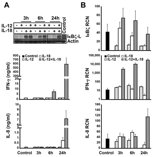 Figure 3. IκBζ and IFN-γ expression in human NK cells. IκBζ and IFN-γ expression was evaluated in CD56+ selected human NK cells over time in response to recombinant IL-12 and IL-18 (10 ng/mL each). (A) Time course of IκBζ, IFN-γ, and IL-8 protein expression for IL-12 and IL-18 stimuli in human NK cells (2 × 106 cells/mL) as assessed by immunoblot of cell lysates for IκBζ and ELISA of supernatants for IFN-γ and IL-8. (B) Time course of IκBζ, IFN-γ, and IL-8 mRNA expression in human NK cell by quantitative PCR. Immunoblot is representative of 3 independent experiments and bar graphs represent the mean ± SEM for 3 experiments. Values in the undetectable range have been assigned a random insignificant number and plotted in the graph. Vertical lines have been inserted to indicate a repositioned gel lane. RCN indicates relative copy number.