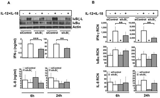 Figure 5. Effect of siRNA-mediated knockdown of IκBζ in human NK cells. To assess the role of IκBζ in IFN-γ production, human NK cells were nucleofected with siRNA targeting IκBζ (30nM) or siControl (30nM). After nucleofection, the cells were stimulated with recombinant IL-12 and IL-18 (10 ng/mL each). (A) Protein expression for IκBζ and IFN-γ. IκBα, actin, and IL-8 are also shown as controls. (B) Gene expression profiles for IFN-γ, IκBα, and IL-8 in IκBζ knockdown cells. The immunoblot is representative of 7 independent experiments. Bar values represent the mean ± SEM for 5 to 7 experiments. *Values in the nondetectable range. **P < .05 vs controls. ***P < .005 vs controls. RCN indicates relative copy number.