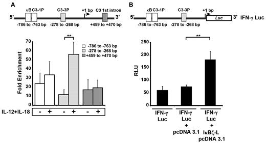 Figure 6. IκBζ associates with the IFN-γ promoter and activates luciferase expression in human NK cells. The binding of IκBζ to the IFN-γ promoter was studied by ChIP in human NK cells. IκBζ's function in promoting IFNG gene expression was studied in a luciferase reporter assay in HEK 293 cells stably transfected with TLR4/IL-1R/MD-2. (A) Top: Diagrammatic representation of 4 NF-κB binding sites (κB, C3-1P, C3-3P, and C3 1st intron as reported37) present on the IFN-γ promoter. Bottom: The effect of IL-12/IL-18 stimulation on the relative enrichment of IκBζ association with the 4 NF-κB sites as determined by ChIP. (B) Top: Diagrammatic representation of the IFN-γ luciferase reporter construct used in the luciferase reporter assay. Bottom: The ability of IκBζ-L to induce expression of the IFN-γ luciferase reporter. Values are mean ± SEM for 3 independent experiments. **P < .05 vs controls. RLU indicates relative luciferase units.