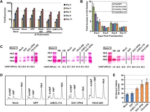 Figure 3. Therapeutic production of HbF in erythroblasts derived from CD34+ bone marrow cells of β-thalassemia major patients transduced with the V5m3-400 γ-globin, BCL11A shRNA, or GG1-VP64 lentiviral vectors. (A) Cell accumulation at the indicated time points during the 2-phase culture is shown. Data represent the mean ± SEM of the cumulative fold expansion of both normal and β-thalassemic viable cells either mock-transduced or transduced with the indicated lentiviral vectors. (B) Fold increase in cell number for the indicated groups as measured from the prior time point. (C) Cellulose acetate Hb electrophoresis of lysates from erythroblasts derived from CD34+ BM cells of 3 independent β-thalassemic donors that were transduced either under mock conditions or with the indicated vectors. The percentage of HbF as determined by HPLC analysis is indicated below each sample lane. Control samples include the following: PB indicates erythroblasts derived from cytokine-mobilized peripheral blood CD34+ cells of normal donors; and CB, erythroblasts derived from CD34+ cord blood cells. Vertical lines have been inserted to represent repositioned lanes on the gel images. (D) Representative Hb HPLC traces from erythroblasts derived from β-thalassemic either mock-transduced or transduced with the indicated vectors. (E) The percentage of total Hb content, relative to that of erythroblasts derived from normal PB CD34+ cells, of β-thalassemic erythroblasts derived from the indicated transduced cell populations (± SEM). *P < .05 compared with mock control (paired t test).