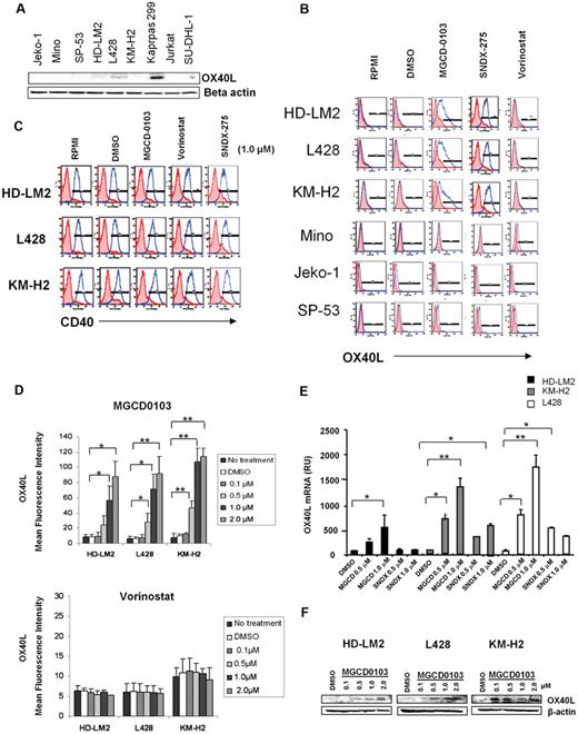 Figure 1. HDACis up-regulate the expression of OX40L in HL. (A) Baseline expression of OX40L in lymphoid cell lines by Western blot analysis. (B) OX40L expression in HL and MCL cells. Cells were incubated with DMSO, MGCD0103, vorinostat, and SNDX-275 (1μM) for 24 hours before OX40L levels were analyzed by FACS. MGCD0103 and SNDX-275 increased OX40L expression in HL cells but not in MCL cells. (C) CD40 expression in HL cells. (D) OX40L expression in HL cells. Cells were incubated with DMSO, MGCD0103, and vorinostat (0.1-2.0μM) for 48 hours, collected, and their OX40L expression was analyzed by FACS. MGCD0103 increased OX40L expression in a dose-dependent manner. Each value is the mean of 3 independent experiments (± SEM). *P < .05; **P < .005. (E) Effect of HDACis on OX40L mRNA levels in HL cells. Results of qRT-PCR after 48 hours of incubation in the absence or presence of MGCD0103 (0.5-1.0μM) or SNDX-275 (0.5-1.0μM). Data are presented as mRNA relative units (RU) ± SEM; n = 3 for each condition and kinetic point. *P < .05; **P < .005. (F) Effect of MGCD0103 on OX40L expression. HL cells were incubated with MGCD0103 (0.1-2.0μM) for 48 hours. Western blot analysis was performed on whole-cell lysates. The effect was more evident with higher doses of MGCD0103 in all HL cell lines.