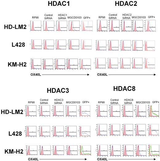 Figure 3. Effect of HDAC1, -2, -3, and -8 siRNA transfection on OX40L expression. HL cell lines were transfected with HDAC1, -2, -3, and -8 siRNA and cells were analyzed for OX40L expression after 48 hours of incubation. Inhibition of expression of HDAC1, -2, -3, or -8 had little or no effect on OX40L expression in HL cells.