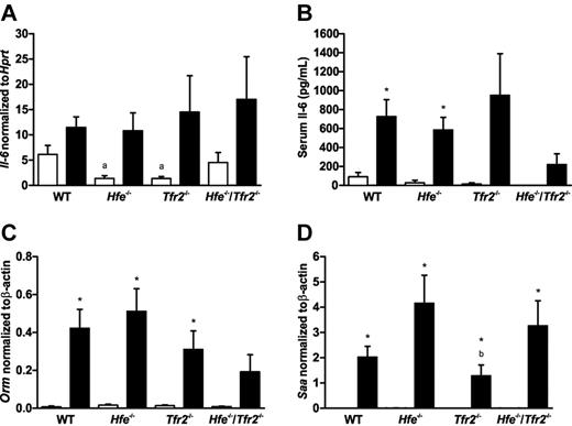 Figure 4. Expression of IL-6 and hepatic inflammatory markers in wild-type (WT), Hfe−/−, Tfr2−/−, and Hfe−/−/Tfr2−/− mice treated with LPS. Real-time PCR was used to quantitate mRNA transcript levels in 5-week-old male WT, Hfe−/−, Tfr2−/−, and Hfe−/−/Tfr2−/− mice injected with saline (white bars) or LPS (black bars) for 6 hours (n = 3-4 per group). In the spleen, IL-6 mRNA transcripts levels were measured relative to Hprt (A). An ELISA was used to determine IL-6 concentrations in the serum of all mice (B). In the liver, Orm (C) and Saa (D) mRNA transcript levels were measured relative to β-actin. Data are shown as the means; error bars indicate SEM. Statistical comparisons were performed using the Student t test. Significant differences (P < .05) are denoted between control and LPS treatments (*) and between strains compared with WT (a), with Hfe−/− (b), and with Tfr2−/− (c).