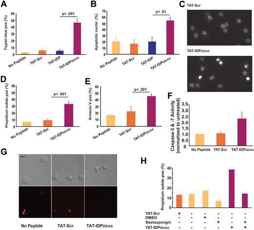 Figure 6. Peptide-induced apoptosis in primary CLL cells. (A) CLL cells from 8 patients were treated with 10μM of each peptide shown and the percentage of dead cells, identified by trypan blue dye uptake, was determined 24 hours later; results are presented as mean ± SE. (B) CLL cells from 4 different patients were treated with 10μM of each peptide shown, and 24 hours later the percentage of cells (mean ± SE) with typical apoptotic morphology was determined by fluorescence microscopic analysis of Hoechst-stained nuclei. (C) Images of Hoechst-stained nuclei illustrating apoptotic morphology 24 hours after treatment with 10μM TAT-IDPDD/AA. (D) Experiments using CLL cells from 6 patients to quantify the percentage of dead cells (mean ± SE) by flow cytometric analysis of propidium iodide uptake 24 hours after treatment with 10μM of the peptides shown. (E) Flow cytometric analysis of the same samples shown in panel D quantifying the percentage of annexin V–positive cells (mean ± SE) 24 hours after treatment with 10μM of the peptides shown. (F) Caspase-3/7 activation induced by TAT-IDPDD/AA (mean ± SE, 2 experiments). (G) Representative confocal images of CLL cells loaded with TMRM, indicating loss of mitochondrial membrane potential 24 hours after adding TAT-IDPDD/AA. Top panels are bright-field images; bottom panels are fluorescence images. Bar = 8 μm. (H) Inhibition of TAT-IDPDD/AA–induced CLL cell death by xestospongin C (10μM) added 30 minutes before peptides, based on analysis of 85 cells, representative of 3 experiments using CLL cells from different patients.