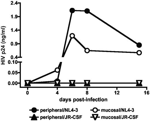 Figure 4. Recovered peripheral and mucosal CD4+ T cells are susceptible to productive X4 HIV infection. PBMC and MMC obtained 24 months after CCR5Δ32/Δ32 SCT were activated with PHA and IL-2 and then incubated with the CCR5-tropic HIV-1 strain JR-CSF or the CXCR4-tropic HIV-1 strain NL4-3 at a multiplicity of infection of 0.001. Viral replication was quantified by measuring the amount of HIV core protein p24 in the cell-free supernatants of cultures. No virus production was observed in the mock controls. Similar results were obtained with peripheral lymphocytes purified at 9.5 and 34.5 and months after CCR5Δ32/Δ32 SCT.