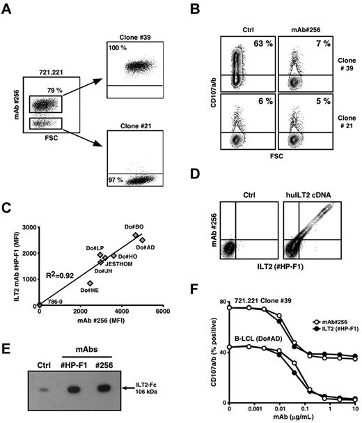 Figure 4. mAb 256 specifically recognizes the LILRB1/CD85j/ILT2 receptor. (A) Expression of Ag#256 was analyzed on 721.221 human B cells by flow cytometry. Ag#256+ and Ag#256− B cells were next isolated by cell sorting and cloned. Values for the frequency of Ag#256 + and Ag#256− cells within each cell subset are indicated in the quadrants. (B) Vγ8Vδ3 T cells (clone 73R9) were incubated together with Ag#256+ (39) and Ag#256− (21) 721.221 B-cell clones (ratio: 1/1) in the absence (Ctrl, left) or presence (right) of mAb 256 (10 μg/mL). CD107a/b mobilization was measured by flow cytometry within activated γδ T cells. Values for the percentage of CD107a/b+ T cells are indicated in the quadrants. (C) Seven human B-cell lines and a negative control human renal carcinoma line (786–0) were stained with either α-ILT2 specific mAb (HP-F1, 10 μg/mL) or mAb 256 (10 μg/mL). Correlation coefficient (R2) calculation between ILT2 and Ag#256 mean fluorescence intensities (MFIs) obtained after analysis by flow cytometry is indicated on the graph. (D) Human osteosarcoma cells (U2OS) were stably transfected with either empty (left) or human ILT2 cDNA (right) plasmids, costained with α-ILT2 specific mAb (HP-F1, 10 μg/mL) and mAb 256 (10 μg/mL), and analyzed by flow cytometry. (E) The binding of both α-ILT2 specific mAb (HP-F1) and mAb 256 to recombinant human ILT2-Fc molecule (106 kDa) was analyzed by immunoblotting. Ctrl indicates secondary mAb alone. (F) Human B-LCL (Do#AD) and Ag#256+ 721.221 B cells (clone 39) were preincubated for 15 minutes with either α-ILT2 mAb (HP-F1, ●) or mAb 256 (○) at the indicated increasing concentrations. Vγ8Vδ3 T cells (clone 73R9) were next incubated for 4 hours together with B cells (ratio = 1:1). Values for the percentage of CD107a/b+ γδ T cells are indicated in the graph. Data are representative of at least 3 independent experiments.