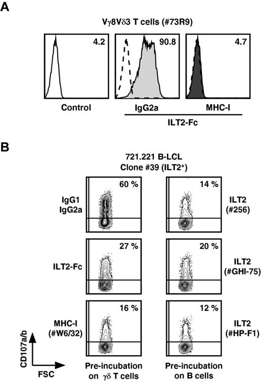 Figure 6. Inhibition of B-LCL-induced activation of Vγ8Vδ3 T cells by ILT2-Fc molecules and mAbs specific for ILT2 or MHC class I molecules. (A) The 73R9 γδ T-cell clone (Vγ8Vδ3) was preincubated for 15 minutes with either isotypic control mAb (IgG2a) or α-MHC-I mAb (W6/32, 10 μg/mL, MHC-I) and next stained with soluble human recombinant ILT2-Fc molecules (30 μg/mL). Values for MFI of ILT2 staining measured by flow cytometry are indicated. Control indicates secondary mAb alone. (B) The 73R9 γδ T-cell clone (Vγ8Vδ3) was incubated for 4 hours with an ILT2+ B-cell line (721.221, clone 39). Control mAb (IgG1, IgG2a), ILT2-Fc molecules (30 μg/mL), α-MHC-I mAb (W6/32, 10 μg/mL), or α-ILT2 mAbs (256, GHI-75, HP-F1, 10 μg/mL) were preincubated with either effector (left) or target cells (right), as indicated. CD107a/b mobilization was measured by flow cytometry, and values for the percentage of CD107a/b+ γδ T cells are indicated in the quadrants. Data are representative of at least 3 independent experiments.