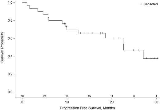 Figure 2. Progression-free survival. Kaplan-Meier estimate progression-free survival, with number at risk, for (A) all treated patients (n = 30), (B) patients with follicular lymphoma (n = 15), and (C) patients with mantle cell lymphoma (n = 7).