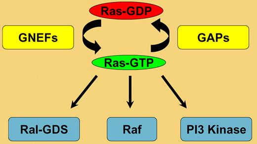 Overview of the Ras cycle showing major classes of effectors.