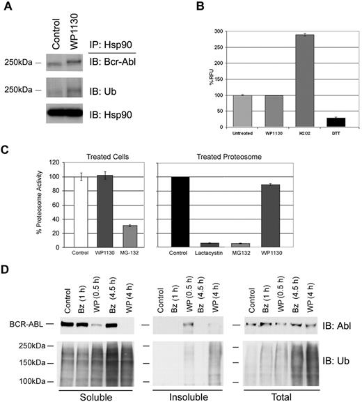 Figure 4. WP1130 activity is not mediated through the loss of Hsp90/Bcr-Abl chaperone association, 20S proteasome inhibition, or increased ROS. (A) K562 cells were incubated with 5μM WP1130 for 30 minutes before detergent-soluble cell extracts were subjected to Hsp90 immunoprecipitation followed by immunoblotting for Bcr-Abl, ubiquitin, or Hsp90. (B) K562 cells were incubated with WP1130 (5μM), H2O2 (500μM), or dithiothreitol (1mM) for 2 hours at 37°C. Cells were then washed and replated in medium containing DCFDA for 20 minutes at 37°C. DCFDA fluorescence was read and used as a measure of ROS production in treated samples. The results represent the average ± SD of triplicate assays. Similar results were obtained in 2 additional CML cell lines, WDT-2 and BV-173. (C left) K562 cells were left untreated or treated with 5μM of the indicated compound for 2 hours at 37°C. Protein lysates were incubated with proteasome substrate and activity was determined by fluorogenic substrate cleavage. (C right) Purified 20S proteasome was incubated with 5μM MG-132, lactacystin, or WP1130 before assaying proteasome activity as described above. The results represent the average ± SD of triplicate assays. Similar results were obtained with 2 additional CML cell lines. (D) K562 cells were treated with 50 nM bortezomib (Bz) or 5μM WP1130 (WP) before equal volumes of lysate from the detergent-soluble, detergent-insoluble, and total cell lysate were immunoblotted for Bcr-Abl (top) or ubiquitin (bottom). Both Bz and WP increased ubiquitin content, but only WP affected Bcr-Abl and detergent-insoluble ubiquitinated protein levels.