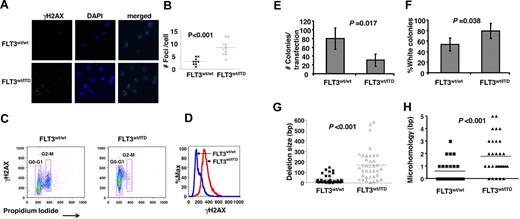 Figure 3. Early pro-B cells from FLT3/ITD mice accumulate DSBs and are defective for DSB repair. (A-B) γH2AX foci are increased in early B-cell progenitors from FLT3/ITD mice compared with wild-type littermate controls. Images were acquired at room temperature using a Nikon TE 2000-E microscope system (Nikon) with a Nikon Plan APO VC 100×/1.40 oil objective (original magnification ×1000) and Nikon EZ-C1 Version 3.5 software. Flow cytometric analysis shows increased phosphorylation levels of H2AX in early pro-B cells from FLT3/ITD mice (C), with an increased mean fluorescence for cells in G0/G1 phase (D), compared with their wild-type controls. Early pro-B cells from FLT3/ITD mice demonstrate decreased NHEJ efficiency (E) and increased errors (F) after repair of DSBs. Repair efficiency is assessed as the number of total bacterial colonies obtained from the transfection of 5 × 106 sorted early pro-B cells. Misrepair rate is calculated as the fraction of white in total (blue and white) colonies. Data are expressed as mean ± SEM (error bars). Early pro-B cells from FLT3/ITD mice demonstrate an increased frequency of larger deletions (G) and the use of longer microhomologous sequences (H) for the repair of DNA. Data are representative of 3 independent experiments.