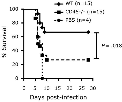 Figure 1. CD45 is required for protection from MCMV infection. Survival of DAP12-deficient neonatal mice given 1 × 105 Ly49H+ WT NK cells, CD45-deficient NK cells, or PBS and infected with 2 × 103 PFU of MCMV. P values were determined using the Mantel-Cox test. Data were combined from 2 separate experiments with each experiment giving similar results.