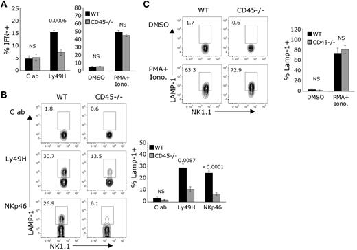 Figure 4. Defective degranulation downstream of ITAM-based receptors in CD45-deficient NK cells. Enriched WT or CD45-deficient NK cells were incubated on plates coated with the indicated mAbs or with PMA (25 ng/mL) and ionomycin (1 μg/mL). Gated on NK1.1+CD3− cells. (A) Intracellular staining for IFNγ after incubation with brefeldin A. (B-C) Incubation was performed in the presence of anti-CD107a mAb whereby only those cells that degranulate stained positively for CD107a. Graphs show the average ± SEM of 2-4 experiments using 4-9 mice per genotype. The P values for significant differences between genotypes are located above each condition in each graph. NS indicates no significant differences between genotypes were found using a 2-tailed unpaired t test.
