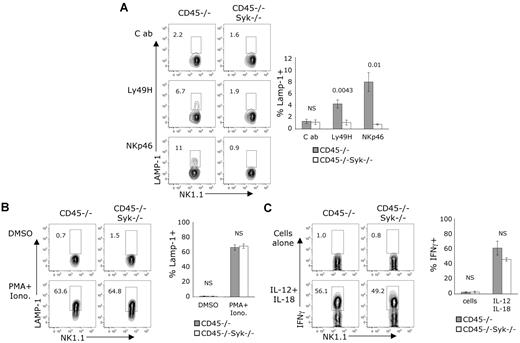 Figure 7. Syk is required for CD45-independent, ITAM-dependent degranulation. (A-C) Enriched NK cells were incubated on plates coated with the indicated mAbs or with the indicated stimuli. Cells shown were gated on NK1.1+CD3− cells. (A-B) Incubation was done in the presence of anti-CD107a whereby only cells that degranulate stained positively for CD107a. (A) Data are representative of 3-5 independent experiments. (B) Stimulation with PMA (25 ng/mL) and ionomycin (1 μg/mL). Data are representative of 4 independent experiments. (C) Cells were incubated with IL-12 (20 ng/mL), IL-18 (10 ng/mL), and brefeldin A, followed by intracellular staining for IFNγ. Data are representative of 3 independent experiments. (A-C) Graphs to the right show the average ± SEM of results of 3 independent experiments. The P values for significant differences between genotypes are located above each condition in each graph. NS indicates no significant differences between genotypes were found using a 2-tailed unpaired t test.