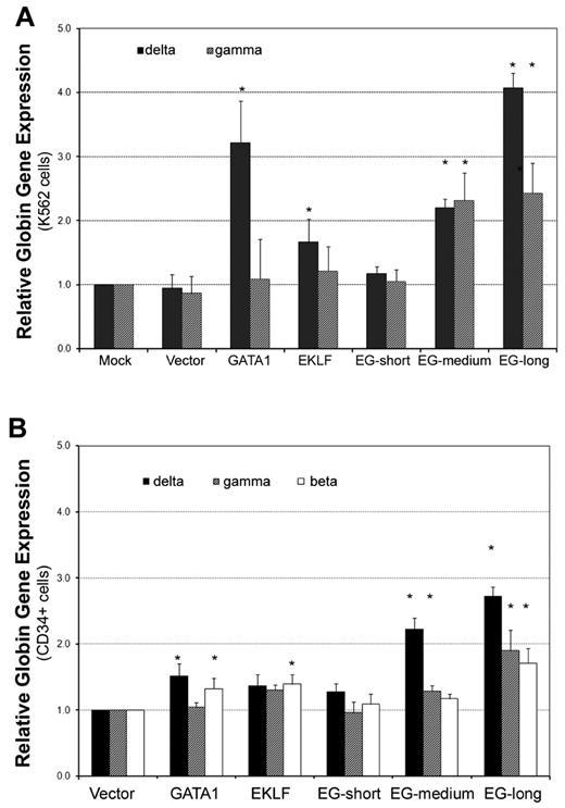 Figure 3. The EKLF-GATA1 fusion proteins enhanced δ-globin gene expression in K562 and CD34+ cells. (A) K562 cells were transfected with EKLF, GATA1, fusion EKLF-GATA1 (EG), or vector only and cultured in medium with 6 μg/mL of blasticidin for 2 weeks. RNA was isolated and real-time PCR analysis performed. Data represent real-time PCR analysis of δ- and γ-globin gene expression in EKLF-, GATA1-, or fusion EKLF-GATA1–transfected cells normalized to β-actin gene expression. Fold increase was calculated compared with expression in mock-transfected cells. *P < .05 versus mock-transfected cells. Error bars indicate SD of the mean of 3 independent experiments. (B) CD34+ bone marrow cells were infected by lentivirus encoding EKLF, GATA1, fusion EKLF-GATA1 (EG) constructs, or vector only at day 4 of the expansion stage, On day 6, gene-transduced CD34+ cells were reseeded and grown in differentiation medium with 3 μg/mL of blasticidin for 7 days. RNA was isolated and real-time PCR analysis performed. Data represent real-time PCR analysis of δ-, γ-, and β-globin gene expression in EKLF-, GATA1-, or fusion EKLF-GATA1–transduced cells normalized to β-actin gene expression. Fold increase was calculated compared with vector only–transduced cells. *P < .05 versus vector only–transduced cells. Error bars indicate SD of the mean of 3 independent experiments.