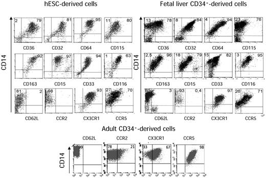 Figure 3. hESC- and fetal liver–derived CD14+CD16+ cells demonstrate a nonclassic monocyte phenotype. Immunophenotype analysis of hESC-derived (top left panel), CD34+ fetal liver–derived (top right panel), and CD34+ adult-derived (bottom panel) CD14+CD16+ cells. The percentages of cells expressing the indicated markers within CD14+ cells are shown. The majority of embryonic and fetal subsets expressed CCR5 and CX3CR1. When monocytic cells were generated from adult CD34+ cells, a marker of the inflammatory type, CCR2, was detected on a subset of cells. Gating was set according to the negative isotype controls. One of at least 3 representative experiments is shown. The corresponding cell frequencies as determined in 3 independent experiments are presented.