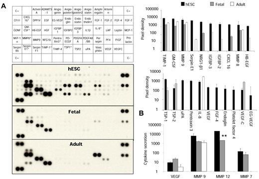 Figure 6. Functional activity of hESC- and fetal liver–derived monocytic cells. (A) Protein arrays analysis in culture supernatants of hESC-derived, fetal liver–derived, and peripheral blood CD14+CD16+ cells. Array signals from scanned X-ray film images were analyzed using digital image analysis software. Array images from 10-minute exposure to X-ray film (left panel) and profiles created by quantifying the mean spot pixel densities (right panel) are shown. In the top right panel, note that the broadest pattern of expression associated with various proteins acting on extracellular matrix and tissue remodeling was found in the CD14highCD16+ embryonic cells. In the bottom right panel, the secretion of proteins involved in angiogenesis in the 3 populations is also shown. *Proteins significantly increased in hESC-derived cells compared with fetal and adult cells using pairwise comparisons with t test (P < .05). (B) Quantification of MMP secretion by Luminex technology. Note the secretion of large amounts of MMP-12 in embryonic cells compared with fetal and adult cells. **P = .04. Results are expressed in picograms per milliliter.