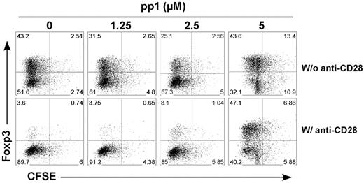 Figure 5. Lck activation regulates T-cell division and iTreg generation in vitro. CFSE-labeled CD4+CD25− T cells from CD28-WT mice were stimulated with plate-bound anti-CD3 mAb in the presence of TGFβ, IL-2, and the indicated concentrations of pp1. Cells were also stimulated without (top panel) or with (bottom panel) plate-bound anti-CD28 mAb. Four days after stimulation, cultured cells were harvested and measured for CD4 and Foxp3 expression and CFSE profile. The data show Foxp3 expression and CFSE profile on gated CD4+ cells, and represent 1 of 2 replicate experiments.