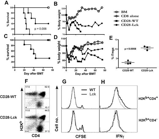 Figure 7. CD28-mediated Lck signaling regulates GVHD development and iTreg generation in vivo. BALB/c mice were lethally irradiated (800 cGy) and transplanted with 5 × 106 of TCD-BM cells alone or plus 1 × 106 T cells (CD4+ or CD8+ CD25−) from CD28-WT or CD28-Lck mice. Recipient mice were monitored throughout the experimental period for survival (A) and weight change (B). Using the same BMT setting as in panels A and B, 0.5 × 106 CD8+ cells from normal B6 donors alone or plus 0.5 × 106 CD4+ cells from CD28-WT or CD28-Lck mice were transplanted. Data show recipient survival (C) and weight changes (D) at different days after BMT. (E) BALB/c mice were lethally irradiated (800 cGy) and transplanted with 5 × 106 TCD-BM cells alone or plus 1 × 106 T cells (CD4+CD25−) from CD28-WT and CD28-Lck mice. Two weeks after transplantation, recipient spleens were harvested and measured for expression of surface CD4, CD25, and intercellular Foxp3. Percentage of Tregs (CD25+Foxp3+) on gated donor T cells (H2Kb+CD4+) is shown in each mouse for a total of 3 mice per group, and the data represent 1 of 3 replicate experiments. In separate experiments, CFSE-labeled T cells (CD4+ or CD8+ CD25−) isolated from CD28-WT and CD28-Lck mice were transplanted into lethally irradiated (800 cGy) BALB/c mice at 2 × 106 per mouse. Four days after transplantation, recipient spleens were harvested and measured for CFSE profile, expression of surface CD4 and H2Kb, and intracellular IFNγ. Expression of CD4 and H2Kb was shown on live spleen cells (F). CFSE profile (G) and intracellular IFNγ expression (H) were shown on gated donor CD4 (H2Kb+CD4+) or CD8 (H2Kb+CD4−) T cells. The data represent 1 of 2 replicate experiments.