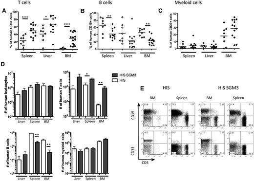 Figure 2. Human immune system reconstitution in spleen, liver, and bone marrow of HIS versus HIS-SGM3 mice. Twelve weeks after human CD34+ HSC engraftment, various organs from HIS and HIS-SGM3 mice were analyzed for human immune cell subset reconstitution by flow cytometry. Frequencies of human CD3+ T cells (A), CD19+ B cells (B), and CD33+ myeloid cells (C) in spleen, liver, and bone marrow of HIS (◇) and HIS-SGM3 (♦) mice are shown. (D) Total cell counts of indicated human immune cell subsets in the liver, spleen, and bone marrow. (E) Representative fluorescence-activated cell sorter dot plots for bone marrow and spleen. Unpaired Student t test: *P ≤ .05; **P ≤ .005; ***P ≤ .0001. BM indicates bone marrow; error bars indicate SEM.