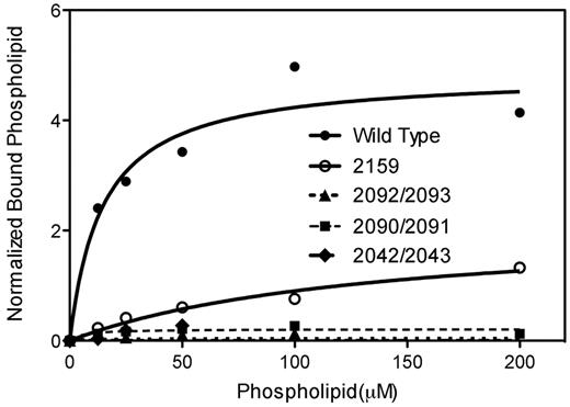 Figure 2. Affinity of phospholipid vesicles for C1 domain mutants of factor VIII. Wild-type factor VIII (●) and mutants 2159 (■), 2042/2043 (▾), 2090/2091 (◇), and 2092/2093 (♦) were incubated with various concentrations of sonicated phospholipid vesicles of PS/PE/PC/NBD-PC (4:20:71:5) for 30 minutes. Aliquots of 1-μL Superose beads were added and incubated for another 30 minutes. Phospholipid vesicle-factor VIII complexes bound to mAb GMA-8021-Superose beads were measured by flow cytometry. Values were corrected for the quantity of fluorescence from phospholipid vesicles associated with Superose beads lacking factor VIII. The quantity of bound phospholipid vesicles was normalized to the quantity of mAb BO2C11-fluorescein isothiocyanate that bound to aliquots of the same quantity of factor VIII incubated with Superose beads. Curves indicate the best fit values for wild-type factor VIII (solid line), mutants 2159 (solid line), 2042/2043 (dashed line), 2090/2091 (dotted line), and 2092/2093 (dash dotted line) obtained with the GraphPad Prism Version 5.0. Data are from a single experiment representative of 2 experiments from 2 separate COS cell transfections.