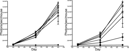 Figure 3. NKT cells, in contrast to CD4+CD25+ T regulatory cells, have little effect on Tcon proliferation in vivo. Left: BLI of luc+Tcons in the presence of various quantities of NKT cells shows the expansion of Tcons in vivo to be minimally affected by NKT cells. Groups: TCD-BM only (●); 5 × 105 Tcons (▿); Tcons + 2.5 × 105 NKT (×); Tcons + 1 × 105 NKT (▵); Tcons + 5 × 104 NKT (◇); Tcons + 2.5 × 104 NKT (○); and Tcons + 1 × 104 NKT (□). Bars indicate means ± SE (n = 5). Right: Increasing numbers of CD4+CD25+ Tregs cause a dose-dependent decrease in luc+Tcon proliferation in vivo, as indicated by BLI. Groups: TCD-BM only (●); 5 × 105 Tcons (▿); Tcons + 2.5 × 105 Tregs (♦); Tcons + 1 × 105 Tregs (▵); Tcons + 2.5 × 104 Tregs (○); and Tcons + 1 × 104 Tregs (□). Bars indicate means ± SE (n = 5)