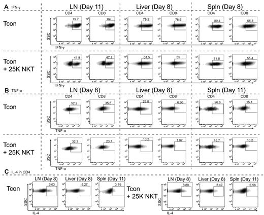 Figure 4. NKT cells affect cytokine production of CD4 and CD8 Tcon. Balb/c recipients (H-2d) were transplanted with TCD-BM and either 5.0 × 105 Tcons or 5.0 × 105 Tcons + 2.5 × 104 NKT cells. Cells were then reisolated at the indicated days after transplantation from lymph nodes, liver, or spleen (spln). FACS analysis of intracellular cytokines was performed with donor-specific and congenic markers to separate NKT cells from Tcons. Shown are representative FACS data showing the median of 3 independent experiments. (A) Cytokine expression of IFN-γ by CD4 or CD8 donor-type Tcons shows the addition of NKT cells to cause a more rapid decline in the percentage of IFN-γ–expressing Tcons. The observed decreases in IFN-γ expression in the presence of NKT cells were very significant (P < .0001) based on an unpaired t test between mean fluorescence intensities of plots shown. (B) Cytokine expression of TNF-α by CD4 or CD8 donor-type Tcons shows that the addition of NKT cells results in a more rapid decline in the percentage of TNF-α–expressing Tcons. The decreases in TNF-α expression in the presence of NKT cells were very significant (P < .0001) based on an unpaired t test between mean fluorescence intensities of plots shown. (C) Cytokine expression of IL-4 by CD4 cells was not significantly altered by the addition of NKT cells, with no apparent trends of increased or decreased expression of IL-4 indicated between experiments.