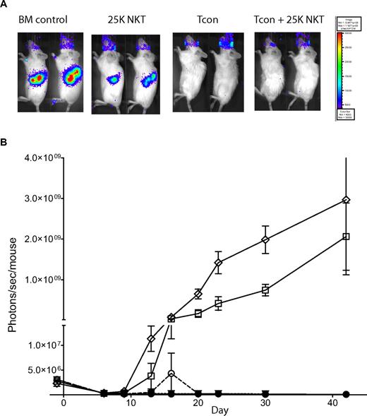Figure 6. NKT cells do not affect tumor clearance by Tcons. To assess tumor clearance by Tcons, recipient mice were engrafted with luc+Bcl-1 tumor cells 7 days before transplantation. Tumor burden was then monitored via BLI. (A) BLI at day 9 after transplantation of the luc+Bcl-1 lymphoma with TCD-BM alone, Tcons alone, NKT alone, or Tcons + NKT indicated that both groups receiving Tcons were completely cured of their tumors. Shown are 2 representative mice from each group. (B) BLI graph showing tumor load during transplant. Shown is the mean ± SE from one of 2 independent experiments with 5 mice per group. Groups: TCD-BM only (●); Bcl-1 control (◇); Bcl-1 + 5 × 105 Tcons (▿); Bcl-1 + Tcons + 2.5 × 104 NKT (○); and Bcl-1 + 2.5 × 104 NKT (□).