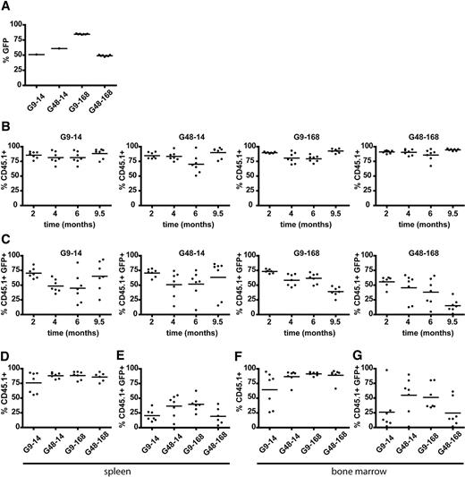 Figure 4. Chimerism and gene marking of donor-derived CD45.1+ peripheral blood leukocytes, splenocytes, and bone marrow cells. (A) eGFP-marking rates in STIF-cultivated Lin− cells of pretransplantation samples. Because of limited cell numbers, data of G9-14 and G48-14 represent pooled samples 4-5 days after transduction. Individual data points in G9-168 and G48-168 represent eGFP marking in individually transduced and transplanted batches of cells at the day of transplantation. (B) Chimerism analysis of peripheral blood by staining donor-derived CD45.1 (2, 4, 6, and 9.5 months after transplantation). (C) Percentage of donor-derived (CD45.1+) eGFP-expressing cells in peripheral blood leukocytes over time. (D-E) Chimerism (D) and gene marking rate (E) in donor-derived splenocytes 9.5 months after transplantation. (F-G) Chimerism (F) and gene marking rate (G) in donor-derived bone marrow cells 9.5 months after transplantation.
