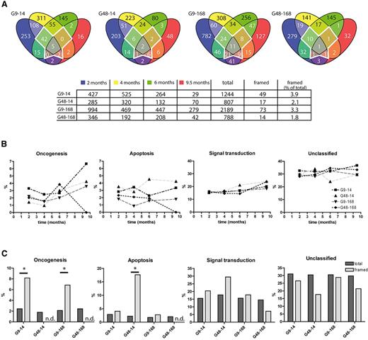 Figure 6. Integration site analysis by 454 high-throughput sequencing. Results of high-throughput sequencing of integration sites in samples taken 2, 4, 6, and 9.5 months after transplantation are shown. (A) Integration sites from posttransplantation samples were assigned to their closest gene function as annotated in PantherDB and checked for repetitive detection. The framed area in the middle of each diagram represents a highly persisting fraction of integration sites that was detected in 3 to 4 different time points. (B) Integration sites from panel A were analyzed according to their biologic function (“apoptosis,” “oncogenesis,” “signal transduction,” and “unclassified”), and their distribution plotted over time. (C) Comparison of the group-specific distribution of gene functions (“apoptosis,” “oncogenesis,” “signal transduction,” and “unclassified”) in the framed area and in the whole dataset from panel A. * P < .05 by Fisher exact test. n.d. indicates not detected.