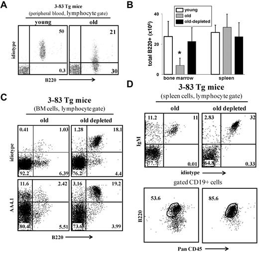 Figure 5. B-cell depletion in old 3-83Tg mice revives B lymphopoiesis in the BM and rejuvenates the peripheral repertoire. Old B10D2 3-83Tg mice (20 months, confirmed to have an old-like B-cell phenotype by blood-sample staining) were treated for B-cell depletion. This was achieved by an initial intraperitoneal injection with a mixture of monoclonal antibodies specific to B220 (150 μg/mouse), CD19 (150 μg/mouse), and CD22 (150 μg/mouse), followed by a second intraperitoneal injection of rat anti–mouse κ monoclonal antibodies (150 μg/mouse) 48 hours later. Mice were bled 3 days after last injection to ensure more than 90% B-cell depletion in peripheral blood. After 65 days, the BM and spleen were analyzed for the B lineage by flow cytometry. (A) Peripheral blood staining of representative young and old 3-83Tg mice. Old mice were prescreened to have less than 50% B cells in peripheral blood expressing the transgenic receptor. (B) Absolute numbers of B220+ cells were calculated based on the total number of nucleated cells purified from the BM (2 femurs and 2 tibias) or spleen (n = 4 mice in each group). *Significant difference (P < .05). (C) BM cells were analyzed by flow cytometry with a lymphocyte gate as defined by light scatter. Expression of the transgenic receptor was detected using an anti–3-83 clonotype specific monoclonal antibody 54.1. (D) Spleen cells from the indicated mice were analyzed by flow cytometry. Analysis for B220 and PanCD45 was conducted on gated CD19+ cells. The plots shown are representative of 4 mice in each group.