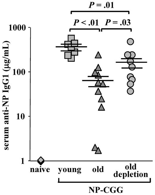 Figure 6. Old mice with a rejuvenated peripheral repertoire mount an increased anti-NP IgG1 response. Old C57Bl6 WT mice (22 months, prescreened to have < 5% AA4.1+ B cells in peripheral blood as an indication for an “old-like” B-cell phenotype) were subjected to one round of B-cell depletion and were immunized intraperitoneally with NP-CGG 70 days later. Before immunization, these mice were bled to confirm reconstitution of >80% of B220+ in peripheral blood. Old, age-matched, and young C57Bl6 mice (4 months) that were untreated for B-cell depletion were used as controls and immunized with NP-CGG at the same time. The amount of anti–NP-specific IgG1 antibodies in the serum was determined by enzyme-linked immunosorbent assay 7 days later, using an IgG1 standard curve for reference. The plot shows titers of anti-NP IgG1 antibodies of individual mice (old depleted, n = 9; old untreated, n = 11; young untreated, n = 7; and naive, n = 4) collected from 4 different experiments and run simultaneously, and the mean and SEs of each group. Student t test was conducted to examine statistical significance between antibody titers of different groups.