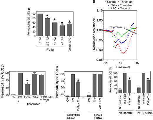 Figure 4. FVIIa pretreatment reduces thrombin-induced barrier disruption. (A) HUVECs (5 × 104 cells) were plated on 12-well Transwell chambers and cultured for 4 days. Confluent monolayers were treated with varying concentrations of FVIIa or APC (20nM) for 2 hours, and then FVIIa (or APC) was removed before the monolayers were treated with thrombin (5nM) for 10 minutes. At the end of 10 minutes, thrombin was removed, the cells were washed with PBS, Evans Blue-BSA was added to the upper chamber, and the amount of dye leaked to the bottom chamber at 10 minutes was measured by measuring optical density at 650 nm. The optical density reading obtained with thrombin treatment of cells not exposed to any prior treatment was taken as 100%. *P < .05 compared with thrombin control (n = 6-10). (B) HUVECs (2 × 105 cells) were plated onto each well of an 8-well ECIS chamber slide. After 48 hours, the cells were equilibrated with serum-free medium for 1 hour and left alone (top line) or exposed to FVIIa (10nM, 3rd line from the top), APC (20nM, 2nd line from the top), or control vehicle (bottom line) for 2 hours, followed by thrombin (5nM). Uninterrupted continuous resistance was collected with the ECIS measuring apparatus from the beginning. Because there was no change in the resistance before the addition of thrombin, this portion of the readings was not included in the figure. The arrow indicates the time of thrombin addition. (C) HUVECs cultured to confluence in Transwells as described in panel A were treated with control vehicle (CV), FVIIa (10nM) ± EPCR mAb (25 μg/mL), or FVIIai (10nM) for 2 hours, and then with thrombin (5nM) for 10 minutes. Cell permeability after thrombin treatment was determined by the migration of Evans Blue-BSA from the apical to the bottom chamber (n = 3-6). (D) HUVECs transfected with scrambled siRNA or EPCR-specific siRNA were treated with FVIIa (10nM) for 2 hours, followed by thrombin (5nM) for 10 minutes. Permeability was measured as described in panel A. *P < .05 compared with thrombin treatment alone. (E) HUVECs transfected with scrambled siRNA or PAR2 specific siRNA were treated with FVIIa (10nM) for 2 hours, followed by thrombin (5nM) for 10 minutes. Permeability was measured as described in panel A. *Statistically significant (P < .05) compared with thrombin treatment alone.