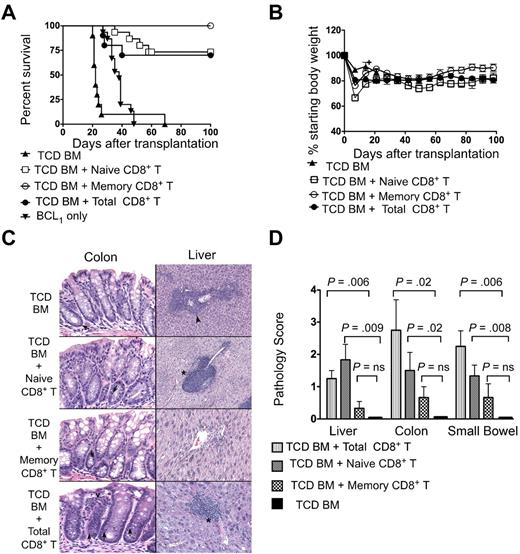 Figure 4. Survival, weight changes, and organ pathology scores of BALB/c hosts that received 500 BCL1 lymphoma cells followed by transplantation of TCD BM from C57BL/6 donors with or without sorted naive, memory, or total CD8+ T cells. The hosts received 500 BCL1 lymphoma cells 6 hours after irradiation. (A) Survival of irradiated hosts given 2 × 106 TCD BM cells from C57BL/6 donors with or without (n = 10) 0.5 × 106 sorted naive T cells (n = 14), memory T cells (n = 12), or total CD8+ T cells (n = 10). The data were pooled from 2–4 independent experiments. (B) Percentage of starting body weight of host mice given TCD BM with or without sorted naive, memory, or total CD8+ T cells as in panel A. Brackets show SEs of the mean. (C) Histopathologic changes induced with naive, memory phenotype, or total CD8+ T cells and TCD BM only. Representative tissue sections were obtained from the hosts from panel A. Histopathologic specimens from the liver and large intestines of surviving hosts were obtained at 100 days after transplantation and fixed in formalin before embedding into paraffin blocks. Tissue sections of 4- to 5-mm thickness were stained with hematoxylin and eosin. Microscopic images were obtained using an Eclipse E1000M microscope (Nikon) with a SPOT RT digital camera and acquisition software (SPOT advanced 4.6, Diagnostic Instruments) with a final magnification of 300× for all images. Image processing was performed with Adobe Photoshop CS with standard adjustments of brightness, contrast, and color balance to the entire image. Histopathology at day 21 in the TCD BM group is shown (top photos). Except for rare apoptosis (arrow left photo), there is no evidence of GVHD in the colon, but lymphoma is evident (arrowhead right photo) in the liver. In the naive group (second row photos), there was no evidence of GVHD in the colon. Liver portal tracts have prominent lymphocytic infiltrates compatible with grade II GVHD (* right photo). In the memory group (third row of photos), there is no evidence of GVHD or lymphoma in either colon or liver. In TCD BM with total CD8+ T-cell group, increased apoptosis was seen in colonic crypts (arrow), along with increased lamina propria inflammation (open arrowhead left photo fourth row). Similarly, portal inflammation and bile duct injury (*) was seen in liver and was compatible with GVHD. Tissue sections were stained with hematoxylin and eosin. Each photo is representative of 5-10 hosts examined. (D) Mean (± SE) of histopathologic GVHD scores of liver, small bowel, and colon on day 21 or 100 from the 4 groups (n = 6 per group). NS indicates not significant; P > .05.
